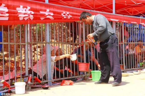 "동물원 철장 속에 사람을?" … 중국 지역축제 논란
