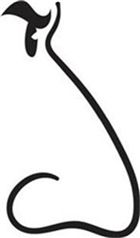 '예쁜 남자' 요즘 많다 했더니 '충격적 진실'