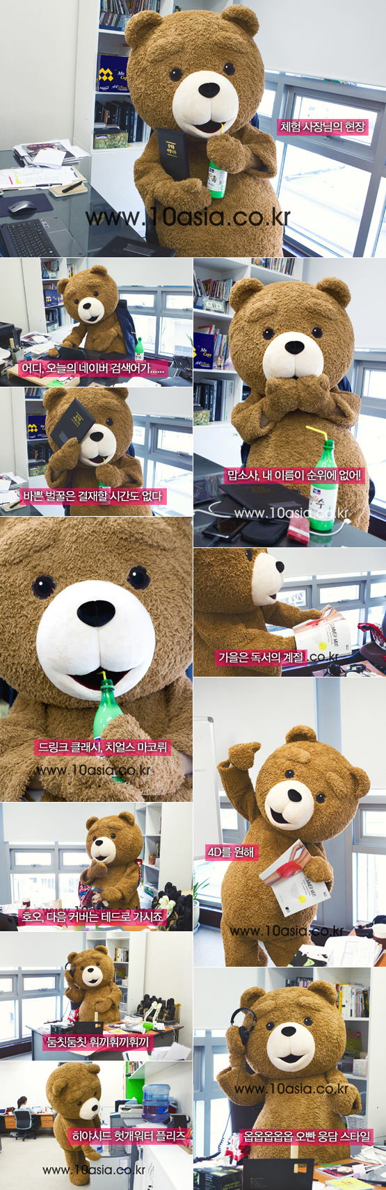 <19곰 테드>│기쁘다 테드 충무로 오셨네