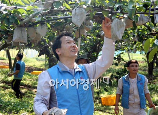 배 따러간 기아차 직원들