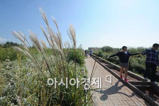 ▲ 서울시 마포구 상암동 하늘공원 