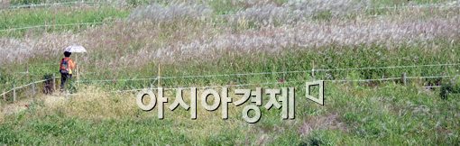 [포토]한 폭의 그림처럼