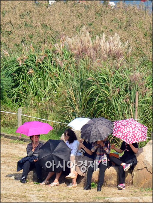 [포토]가을 햇빛 피하기에는 양산이