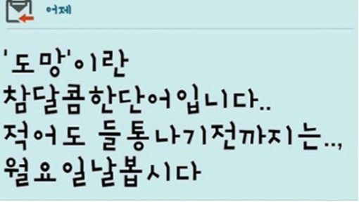 (출처: 온라인 커뮤니티)