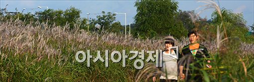 [포토]억새밭 사이를 거닐며···
