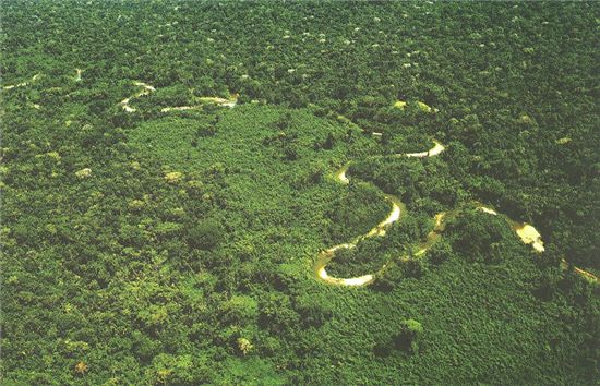 ▲에콰도르 야수니 국립공원내 아마존 열대림 전경