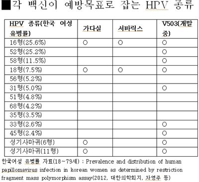 자궁암백신 딜레마..지금 맞을까 기다릴까