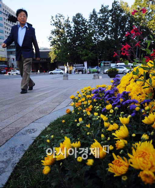 [포토]국화향기 가득한 서울