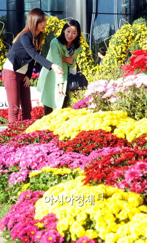 [포토]2012 강남 국화 페스티벌