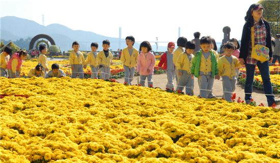 지난해 마산합포구 돝섬에서 열린 가고파국화축제장에 어린이들이 꽃을 구경하고 있다.