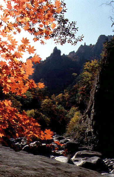 '설악산'·'순천만'..사진찍기 좋은 가을풍경 문화재 30선