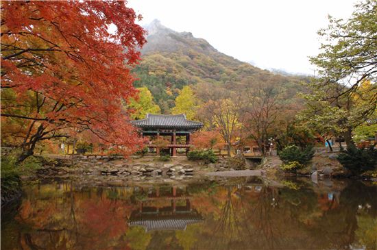 '설악산'·'순천만'..사진찍기 좋은 가을풍경 문화재 30선