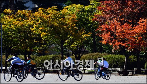 [포토]단풍나무 주변에서 자전거 타는 시민들