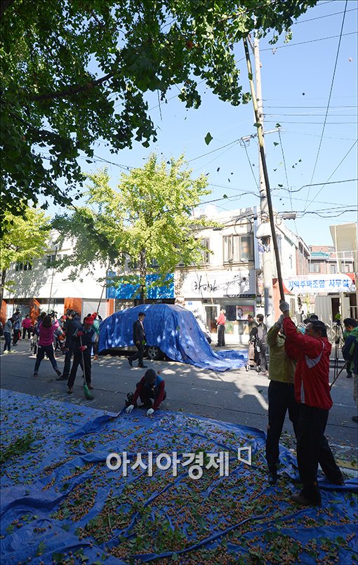 [포토]은행털기 행사