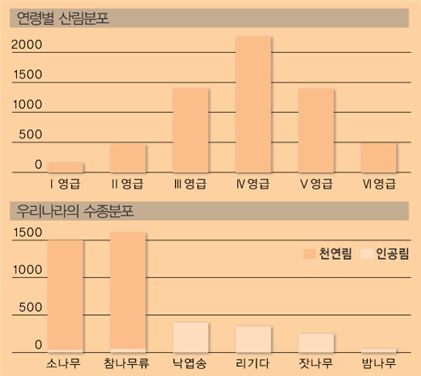 [다시 뛰자 대한민국]목재산업활성화 내수경기 일으켜