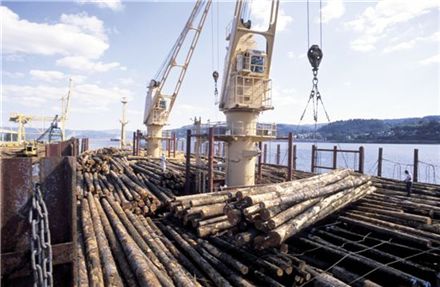 [다시 뛰자 대한민국]목재산업활성화 내수경기 일으켜