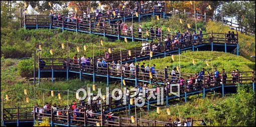[포토]하늘공원 계단 오르는 시민들