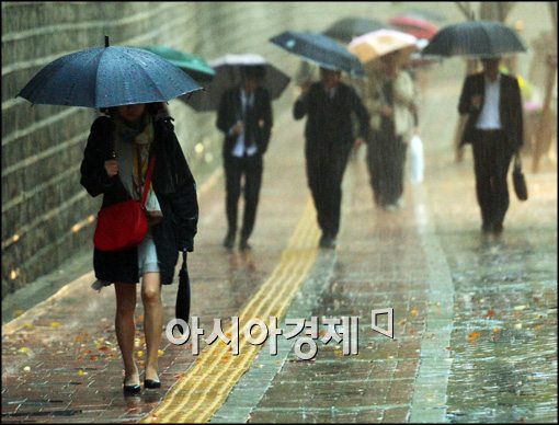 [포토]가을비 내린 덕수궁 돌담길