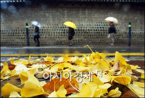 [포토]가을비 속에 낙엽길 걷는 시민들