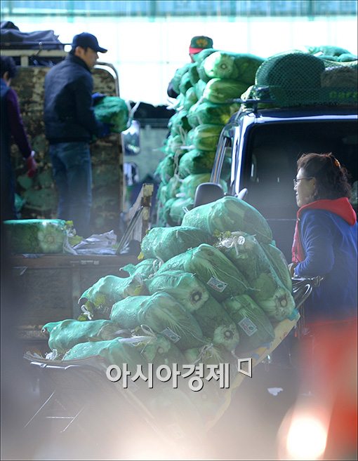 [포토]급등 조짐 보이는 배추값