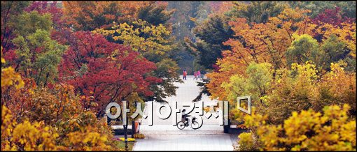 [포토]서울숲 공원에서 가을 만끽