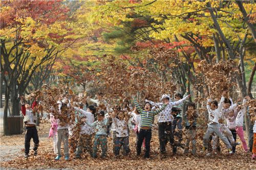 ▲ 26일 '서울대공원 단풍축제' 개최와 함께 개장하는 단풍풀장.