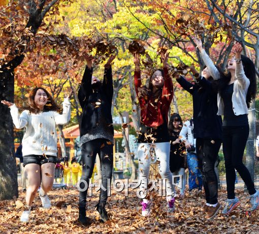 [포토]가을에는 단풍나무와 낙엽놀이