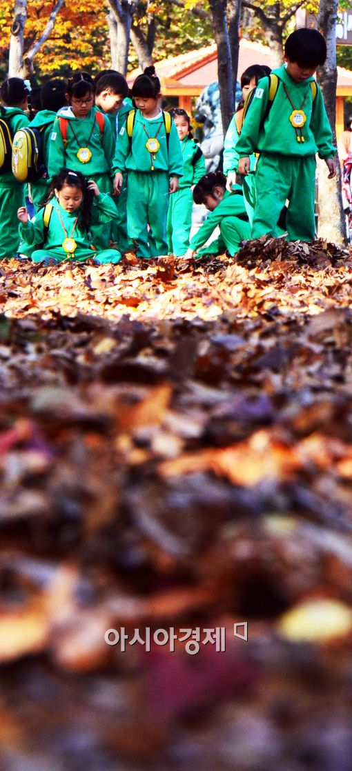 [포토]낙엽길 걷은 어린 아이들
