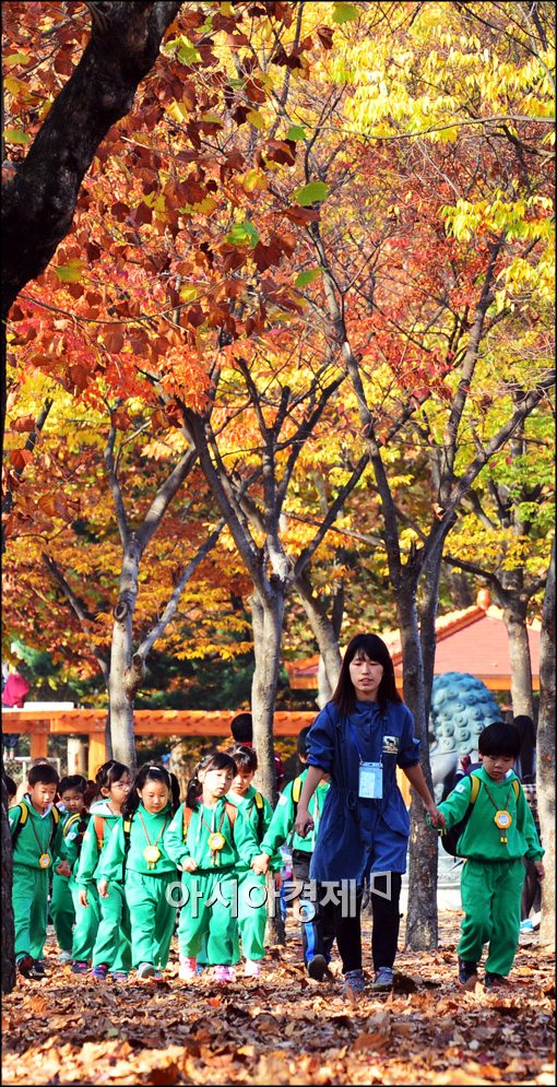 [포토]낙엽 길 산책 나온 아이들
