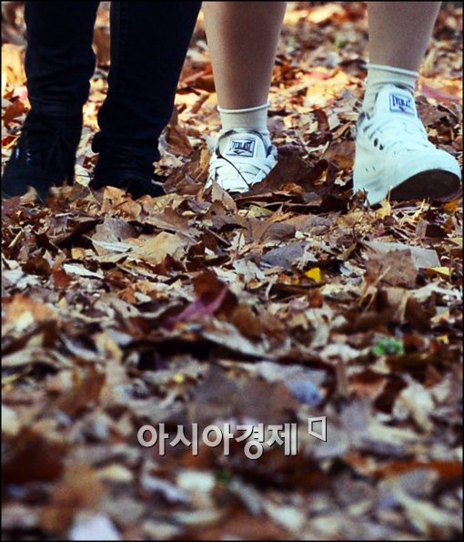 [포토]낙엽 길 걷는 시민