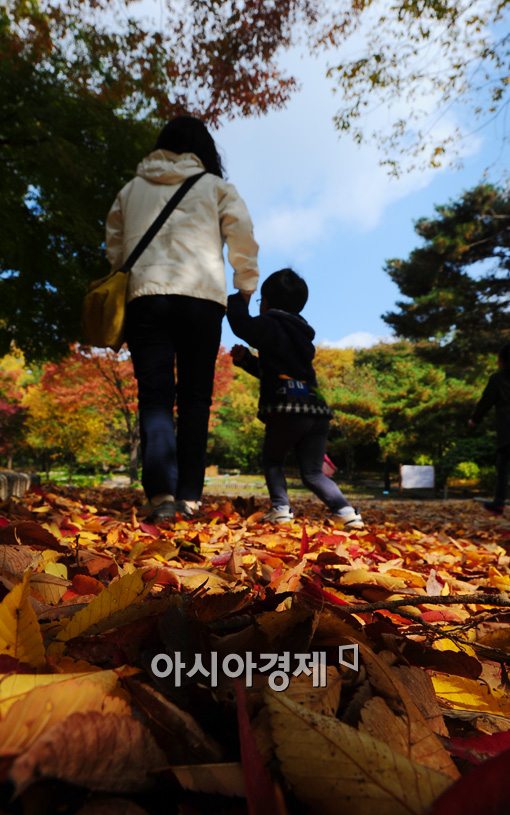 [포토]가을 낙엽 밟는 소리 
