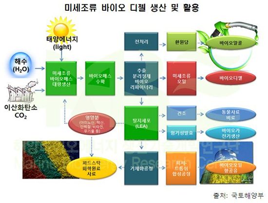 친환경 바이오디젤 연료 대량 생산 '성큼'