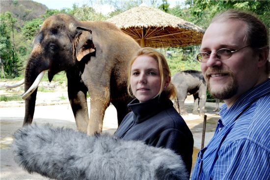 에버랜드 말하는 코끼리 '코식이', 국제 학술계도 인정