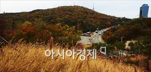 [포토]11월의 남산