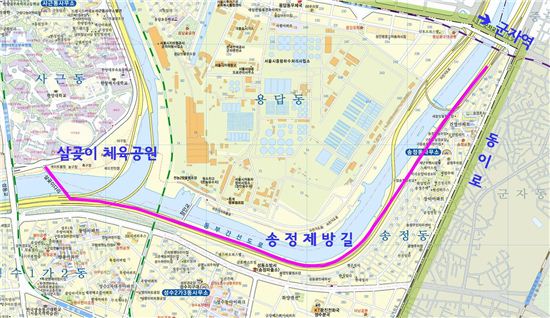 낙엽이 아름다운 송정제방길, 장미-벚꽃길 조성