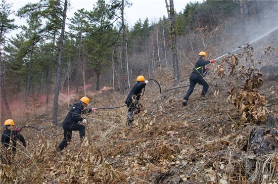산불 끄기 훈련을 하고 있는 산림공무원들