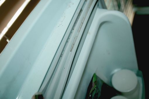 ▲ 냉장고 고무패킹 사이에서 발견된 바퀴벌레의 배설물. 음식물 부스러기거 떨어져 생긴 곰팡이로 오해하기 쉽다. 