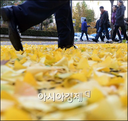 [포토]낙엽길 걷는 시민