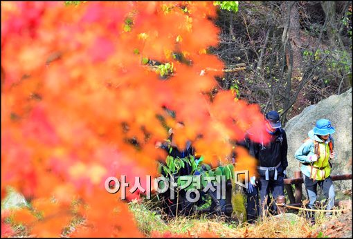 [포토]마지막 단풍 보러온 등산객들