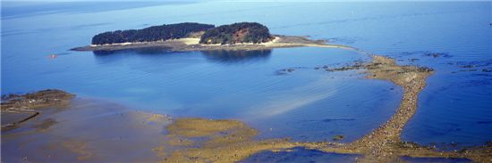 ‘신비의 바닷길’로 유명한 충남 보령시 웅천읍 무창포해수욕장~석대도 사이(1.5km) S자 모양의 곡선 바닷길모습 