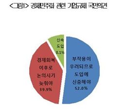 국민 52% "경제민주화 공약, 부작용 우려"