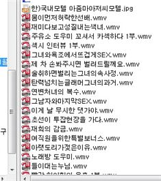 'B양 동영상' 한번 쳐봤다가 깜짝 놀란 사연