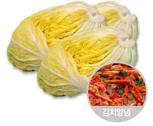 김장 원재료 가격 상승에 DIY김치세트·포장김치 잘 팔려