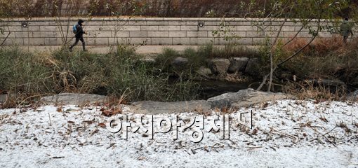[포토]한겨울이 성큼 다가온 청계천 