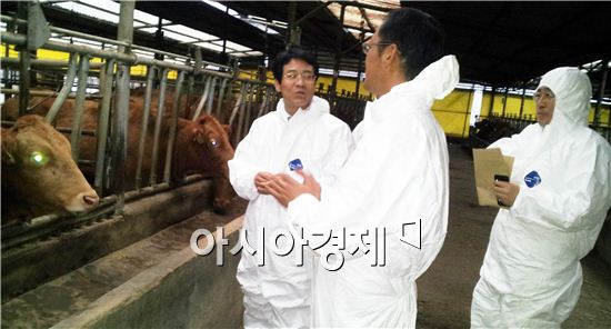 강진서 첫 ‘씨 수소’ 탄생