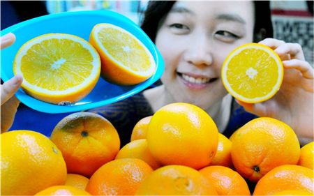 [포토]홈플러스, 캘리포니아산 햇오렌지 출시