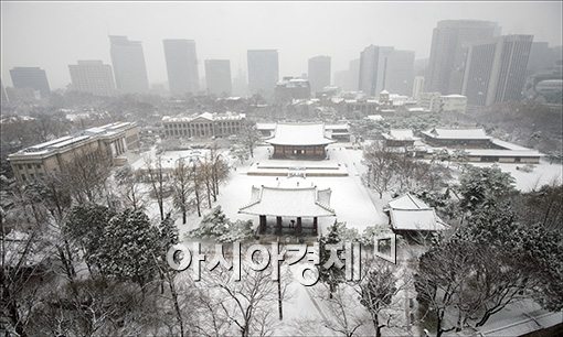 [포토]눈 내리는 서울은 한폭의 수목화