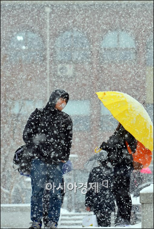 [포토]눈 속에 노란 우산