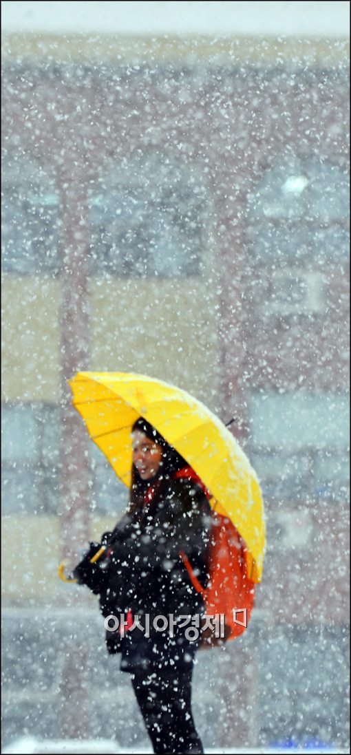 [포토]폭설 속에 노란 우산