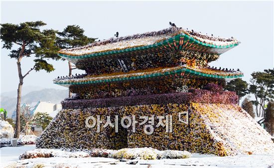 [포토]눈 덮힌 국화 숭례문